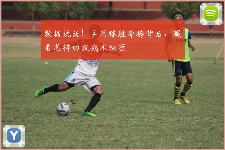 数据说话！乒乓球胜率榜背后，藏着怎样的技战术秘密